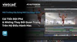 Công Cụ Maya 2025: Cải Tiến Đột Phá Và Những Thay Đổi Quan Trọng Trên Hệ Điều Hành Mac